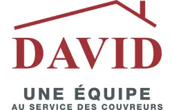 david-zinc-logo
